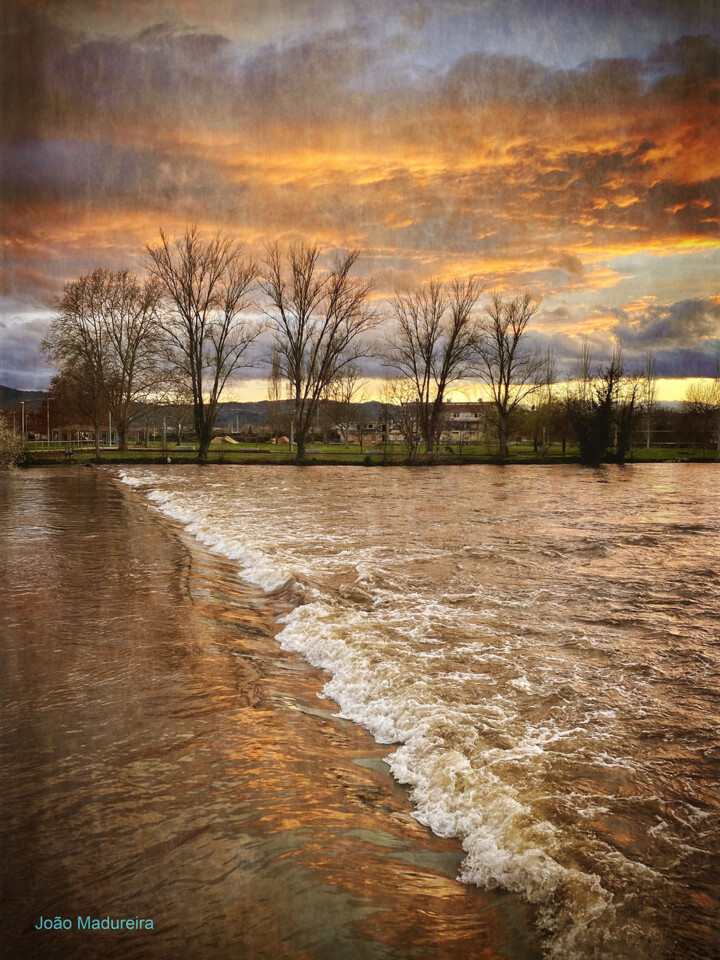 IMG_4067 - cópia.jpg