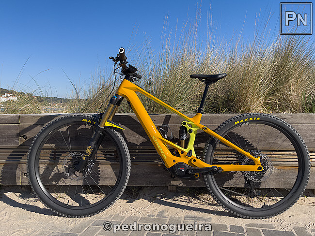 Dez_2024_016 650px.jpg