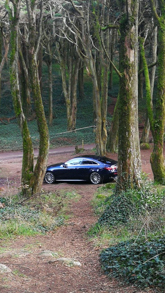 WhatsApp Image 2018-02-16 at 17.14.18(1).jpeg WhatsApp Image 2018-02-16 at 17.14.18(1).jpeg