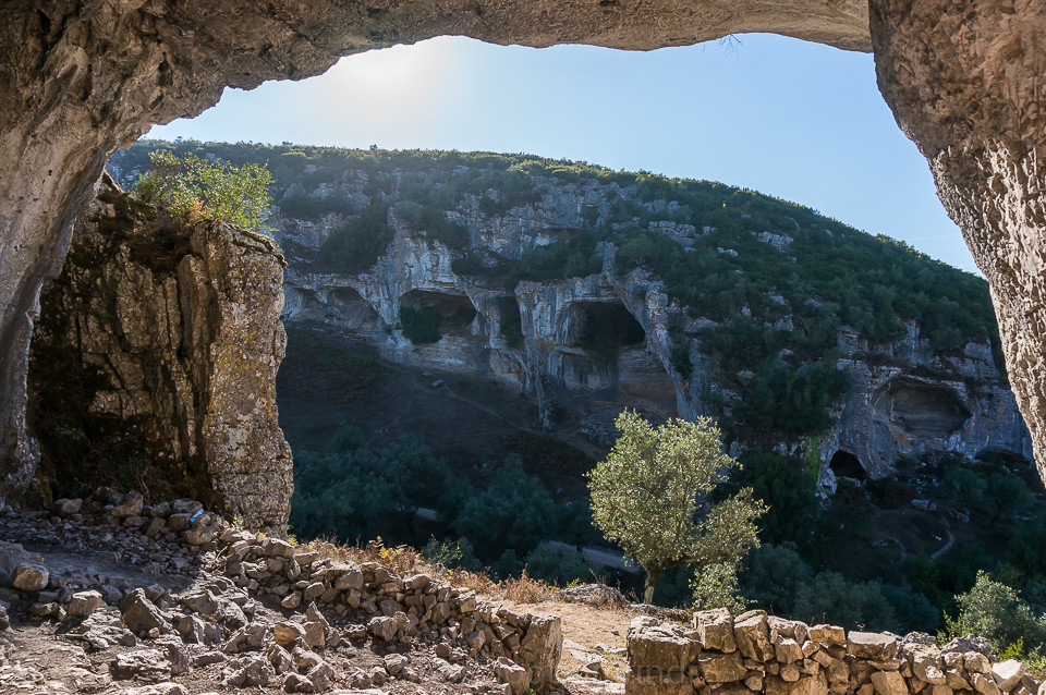 DSC05424.jpg DSC05424.jpg