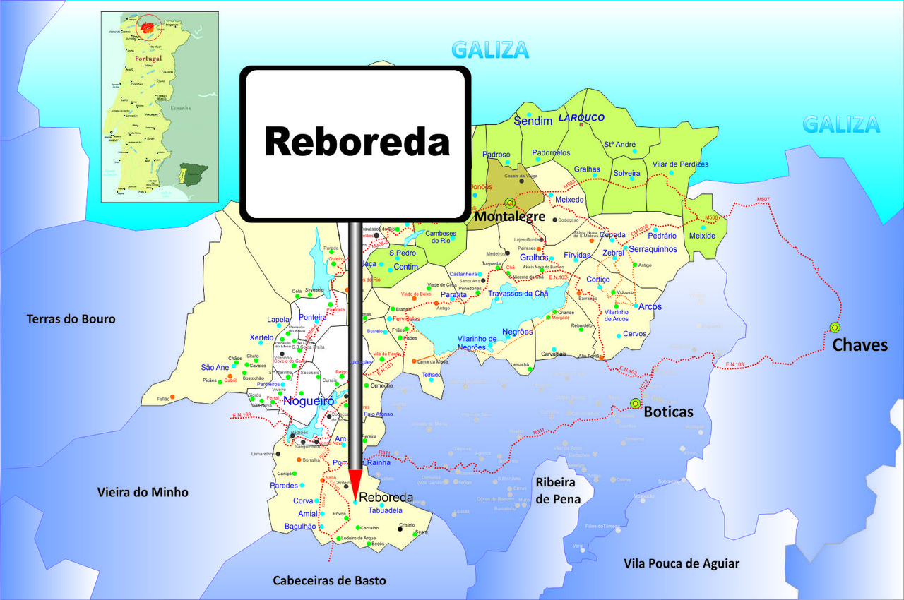 reboreda.jpg
