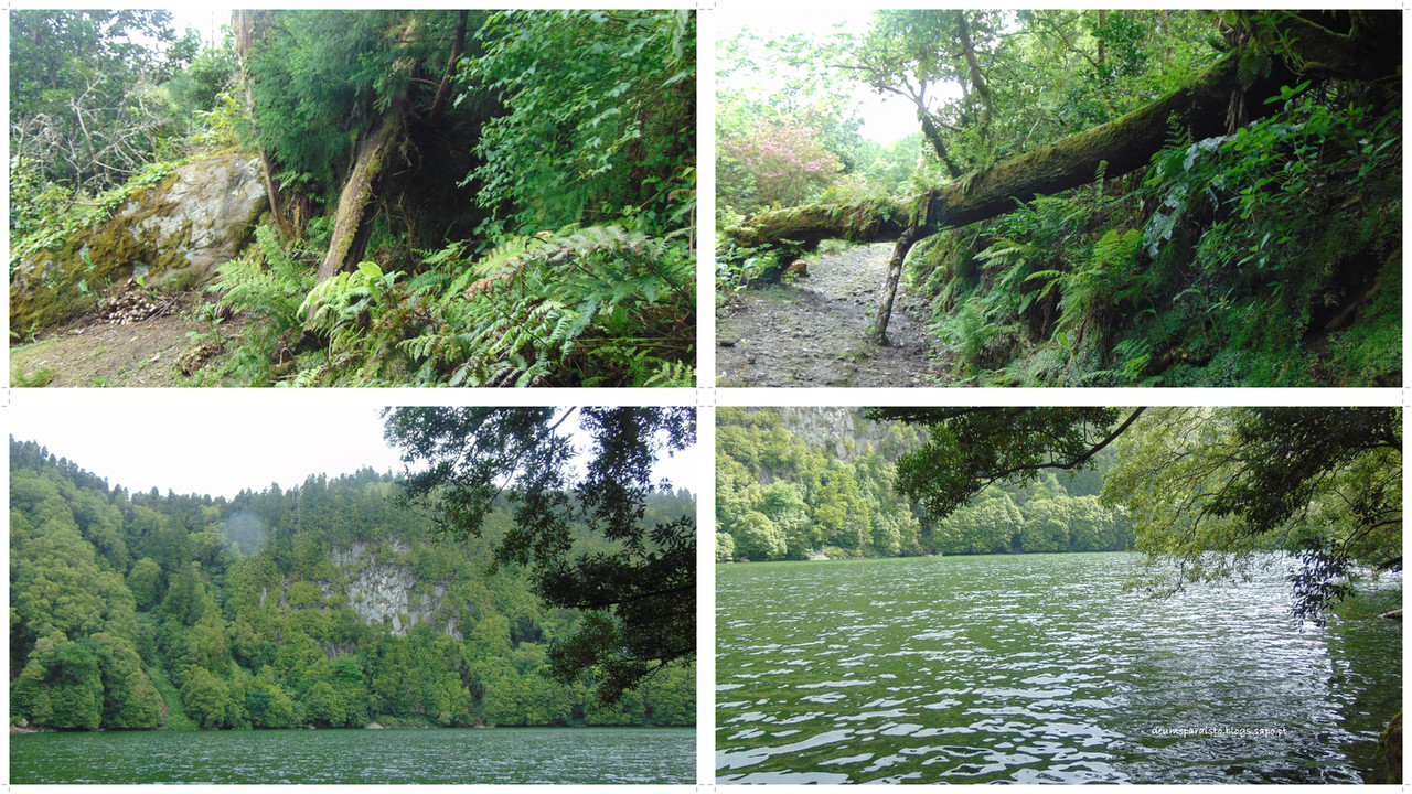 congro-tile.jpg congro-tile.jpg