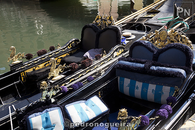 _MG_0953 650px.jpg _MG_0953 650px.jpg