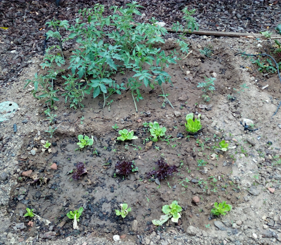 PE_20170628_072022.png PE_20170628_072022.png