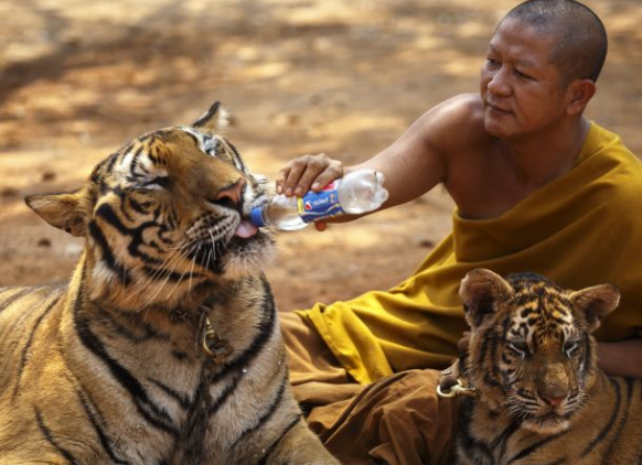 Screenshot 2016-06-01 at 10.40.06.png