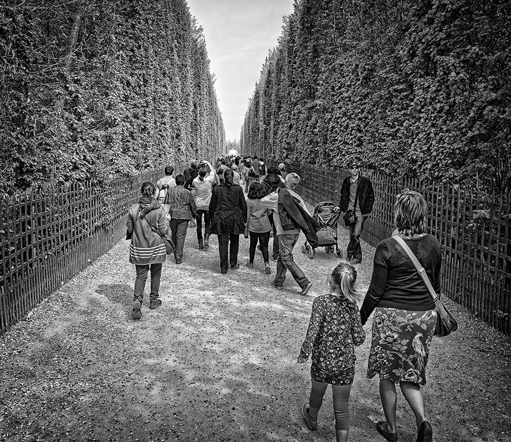 _JMD0592 - Cópia.jpg