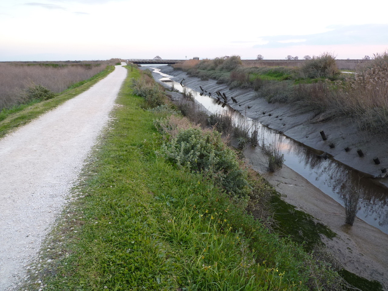 Parque Linear Ribeirinho do Estuário do Tejo (40)