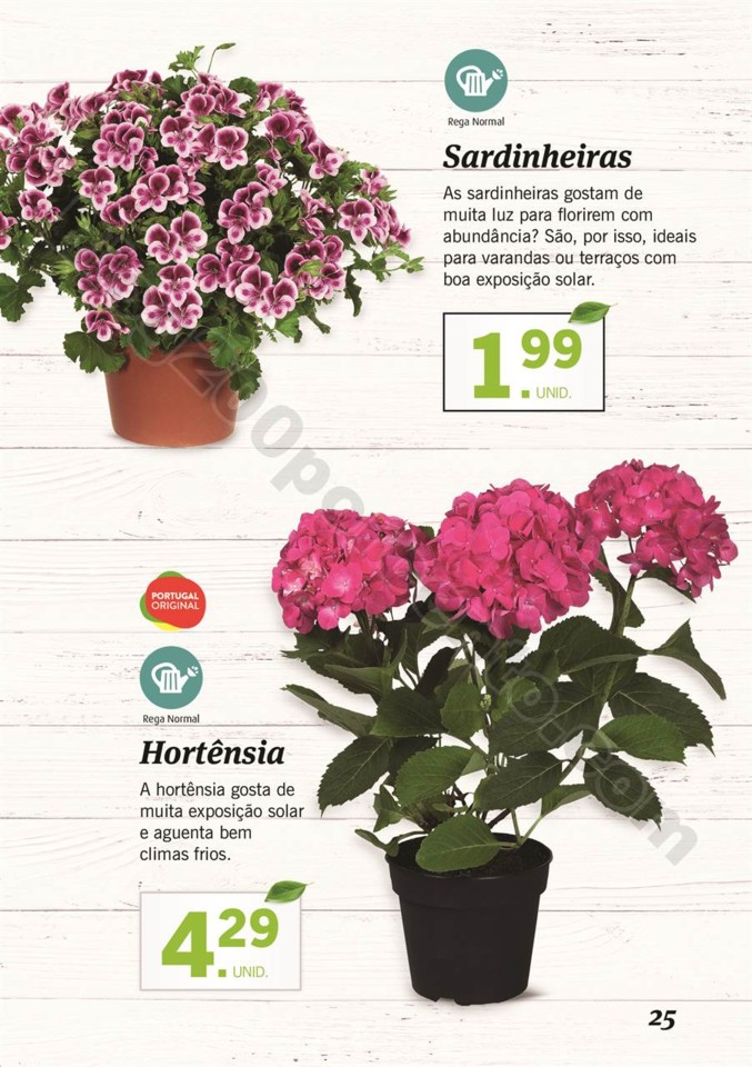 plantas_lidl_mercado_024.jpg