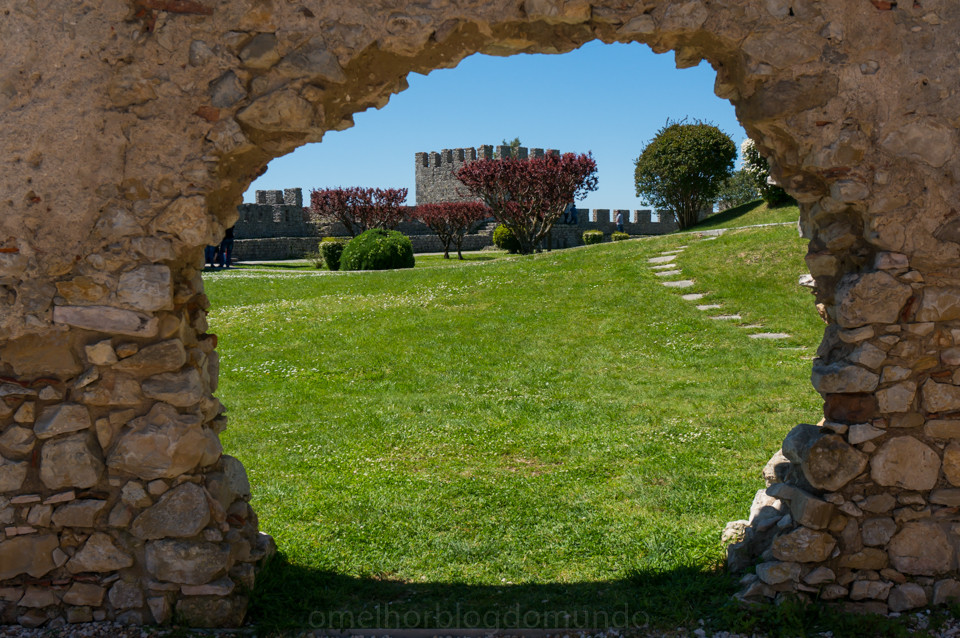 DSC01589.jpg DSC01589.jpg