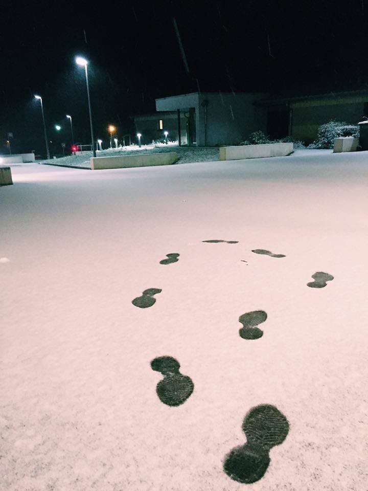 12388232_10205101965851854_1808901831_n.jpg 12388232_10205101965851854_1808901831_n.jpg