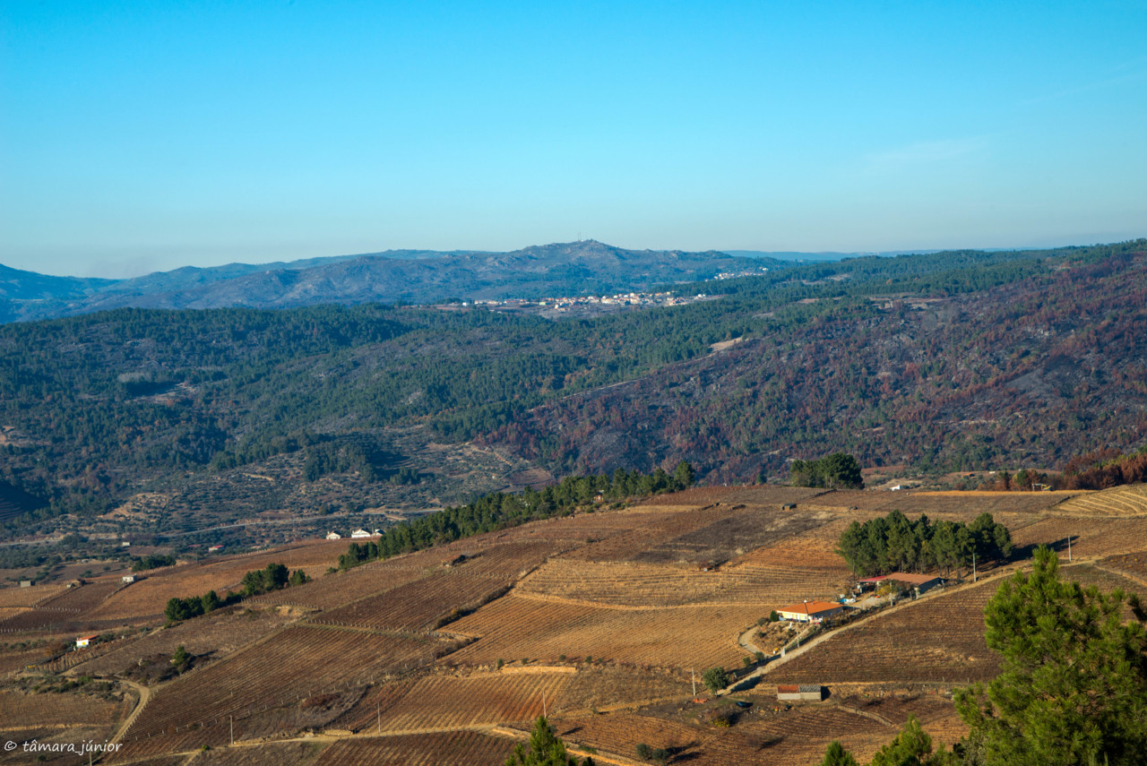 2017.- Pelo Douro no outono II (568).jpg 2017.- Pelo Douro no outono II (568).jpg