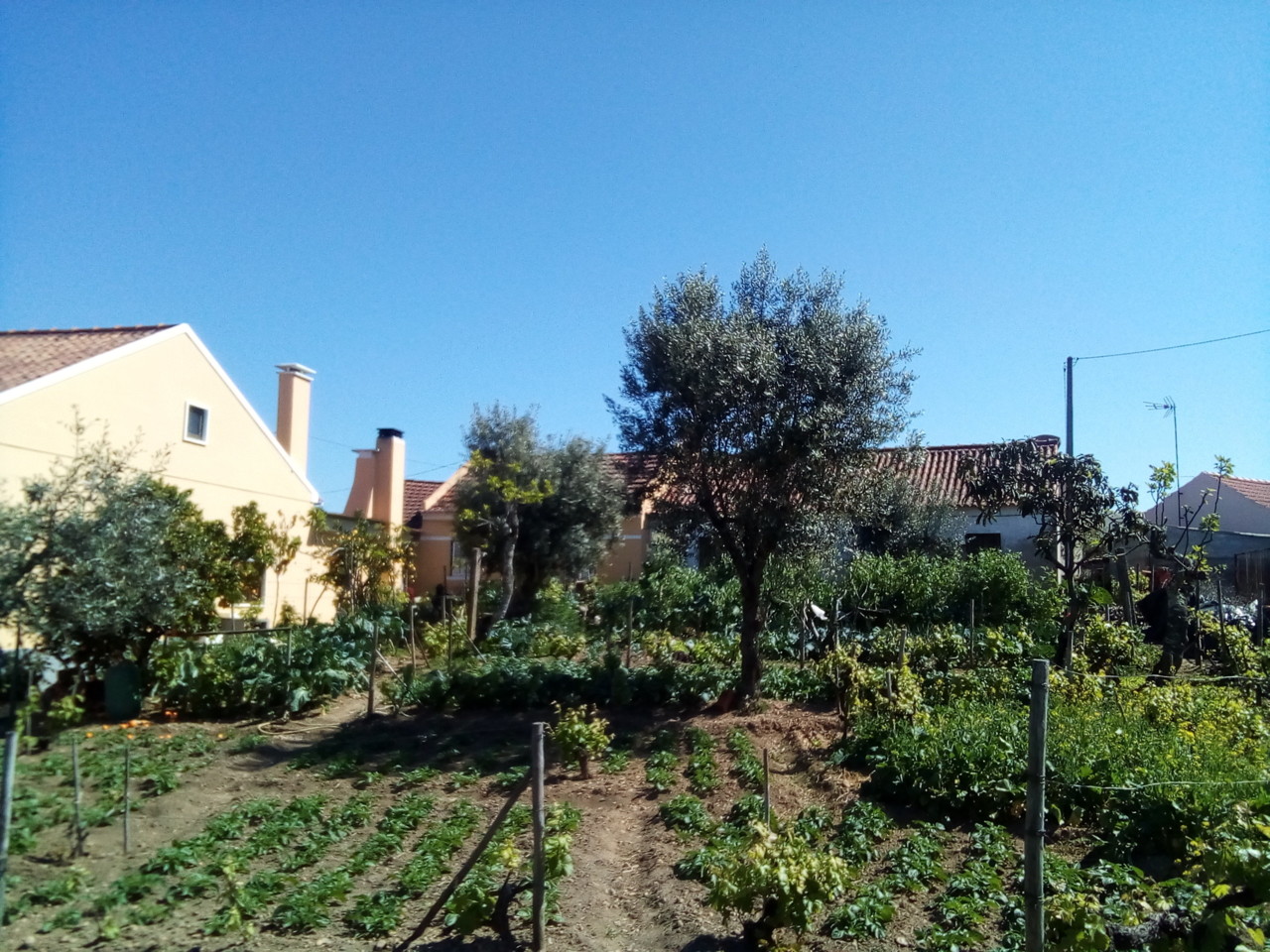 IMG_20190329_111844.jpg IMG_20190329_111844.jpg