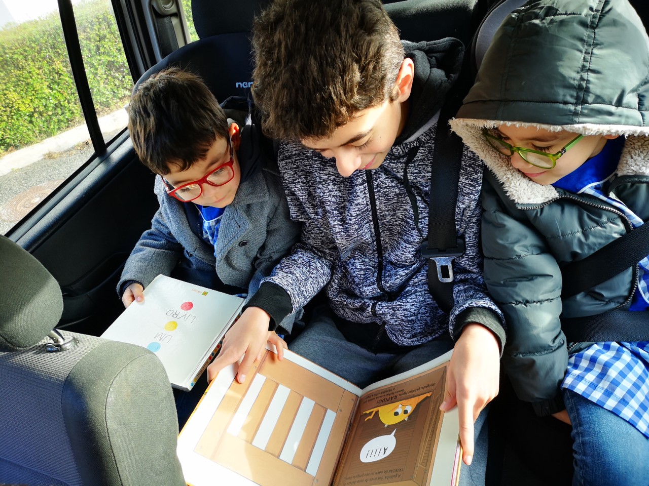 IMG_20200305_081858.jpg IMG_20200305_081858.jpg