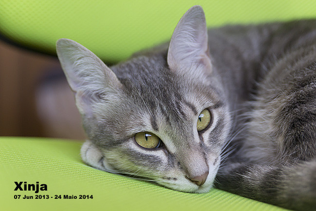 045_MG_7108 650px.jpg