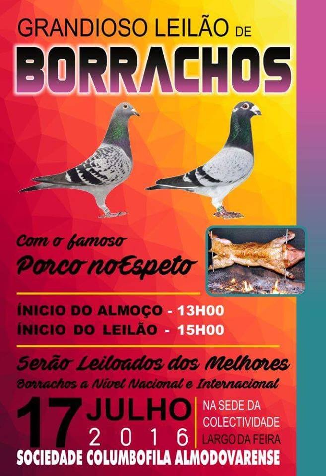 Leilão Almodôvar.jpg