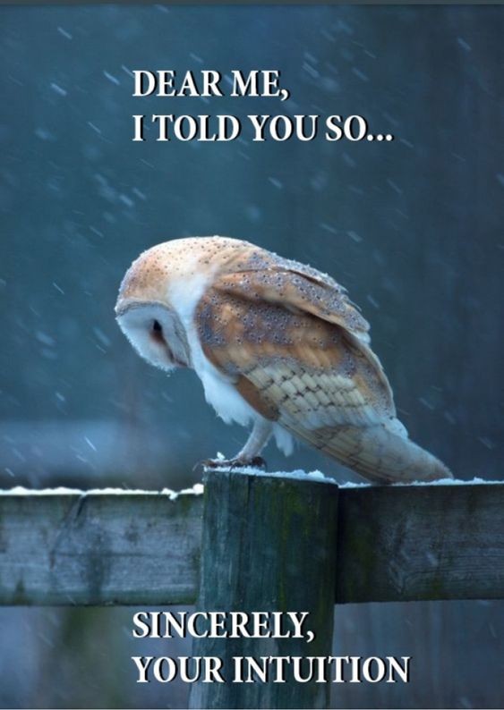 b08212148a680b32997455e1c5afeecf (1).jpg