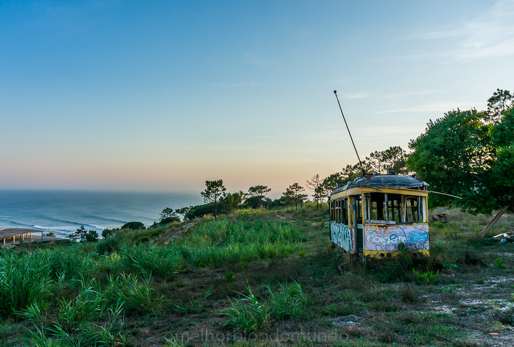 DSC04959.jpg DSC04959.jpg