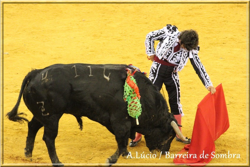 IMG_6764.JPG IMG_6764.JPG