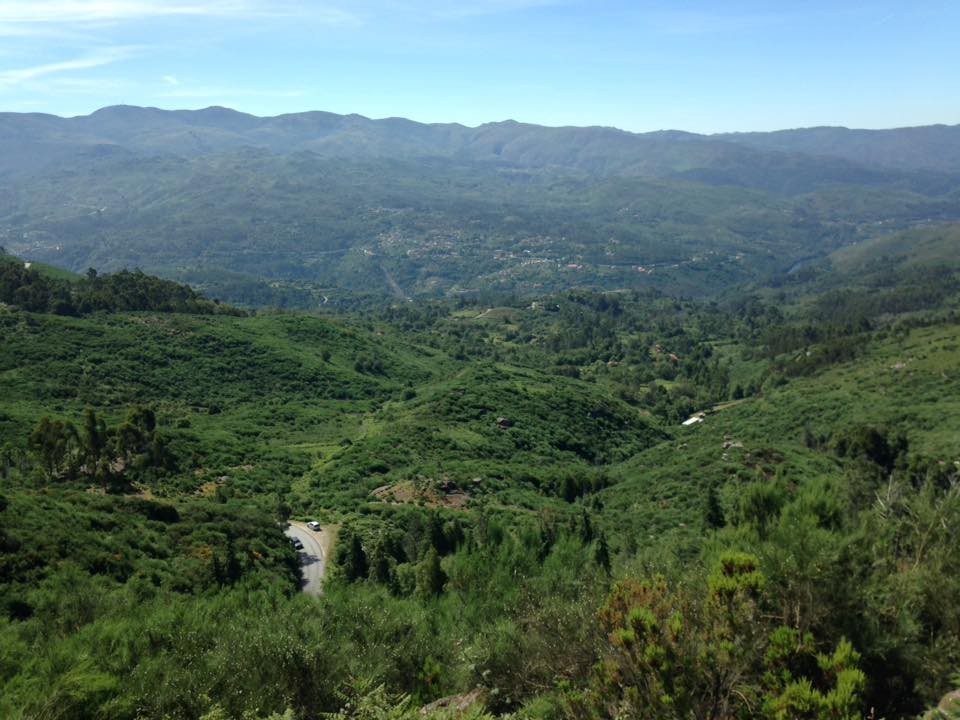 13501962_1228667960484278_6462873394475189080_n.jp