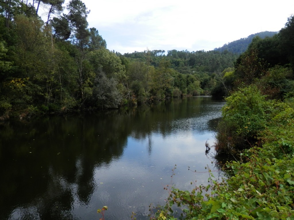 P9110268.JPG P9110268.JPG