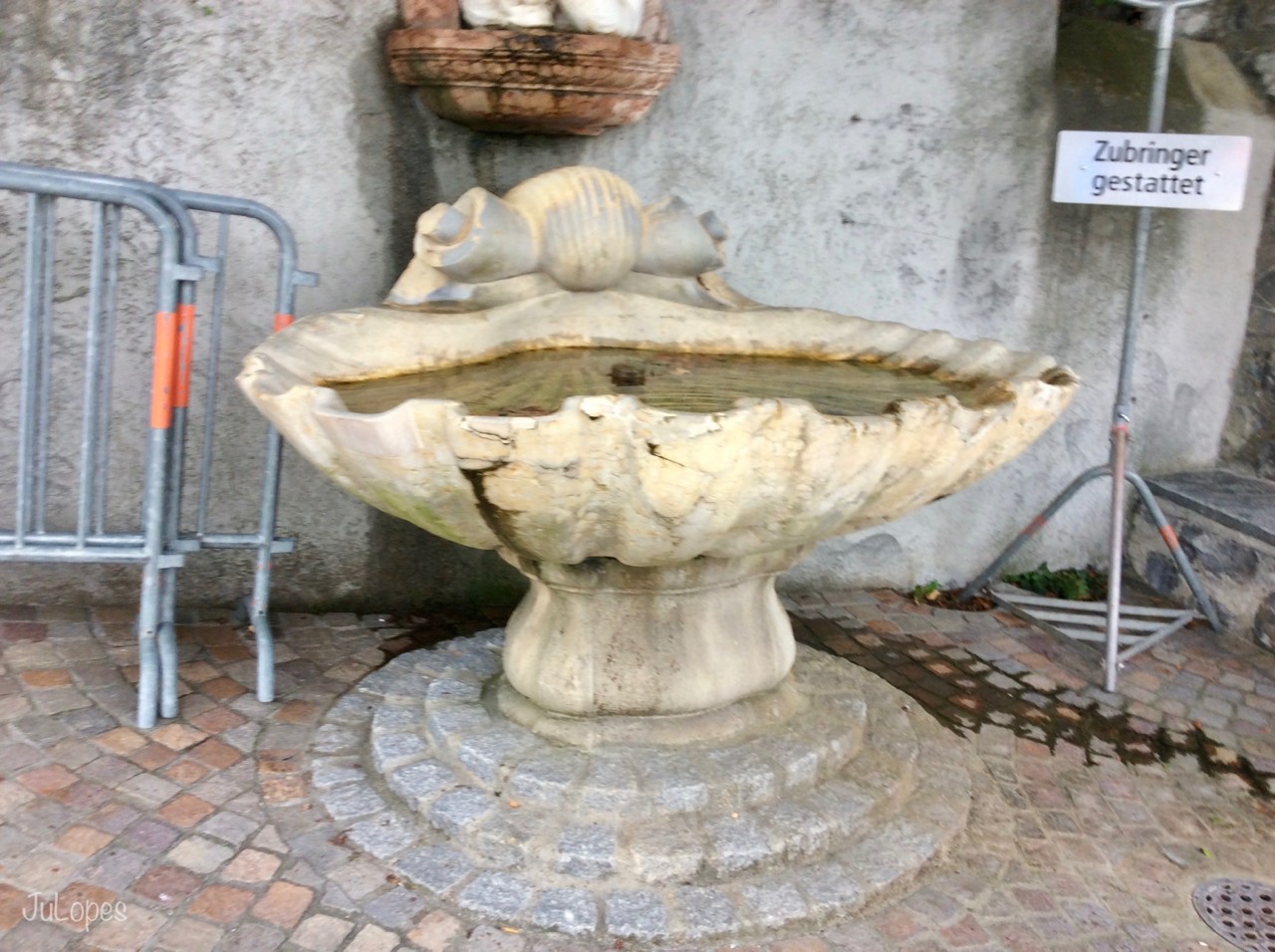 IMG_4943.jpg IMG_4943.jpg