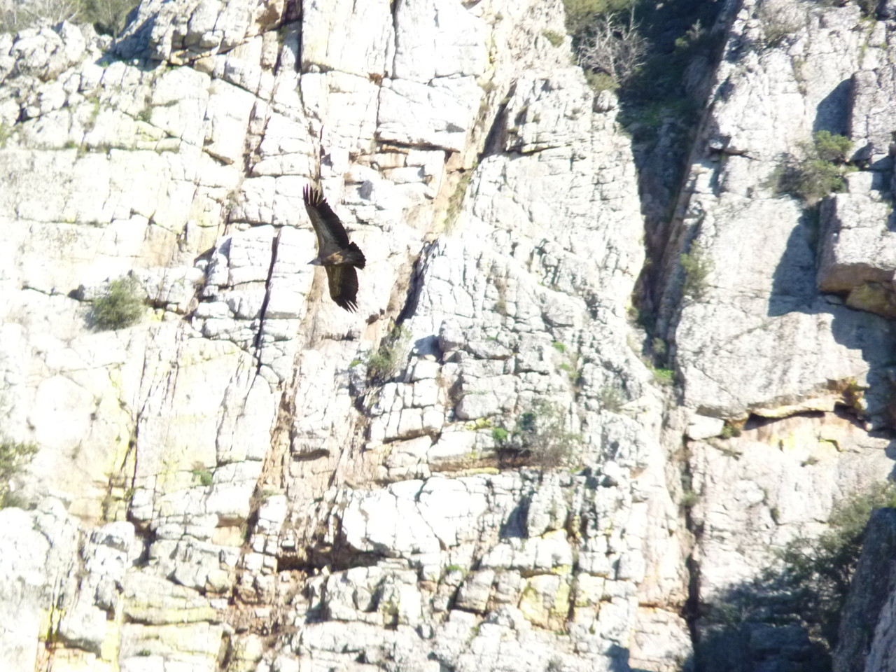 Trilho da mina de ouro do Conhal - Pego das Portas