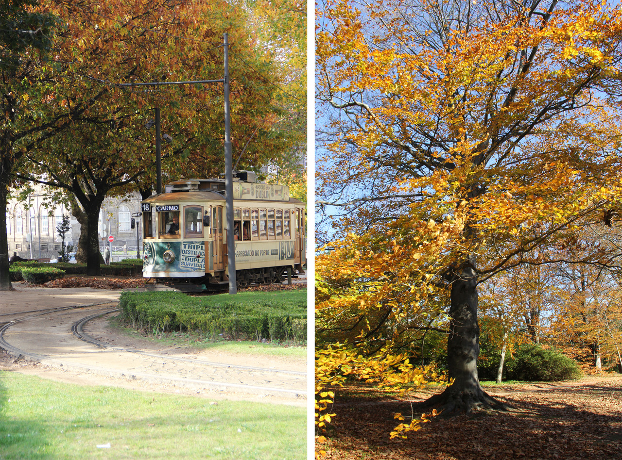 outono_3.jpg outono_3.jpg