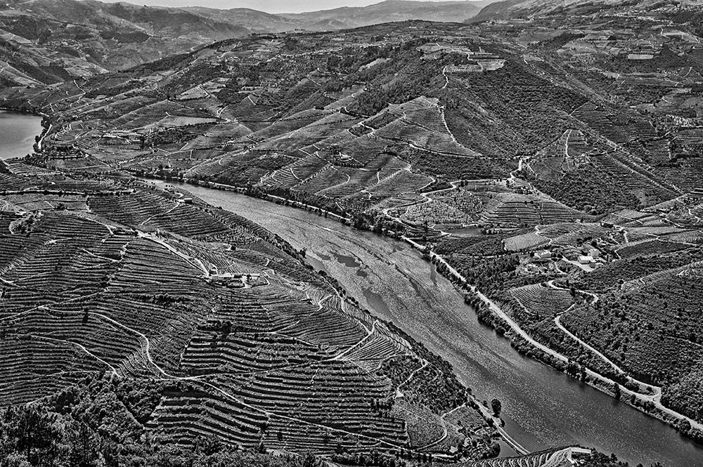 JMD_2623 - Cópia.JPG JMD_2623 - Cópia.JPG