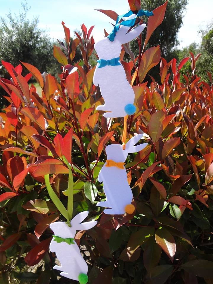 17884238_1135446819892897_4396688664852145594_n.jp 17884238_1135446819892897_4396688664852145594_n.jp