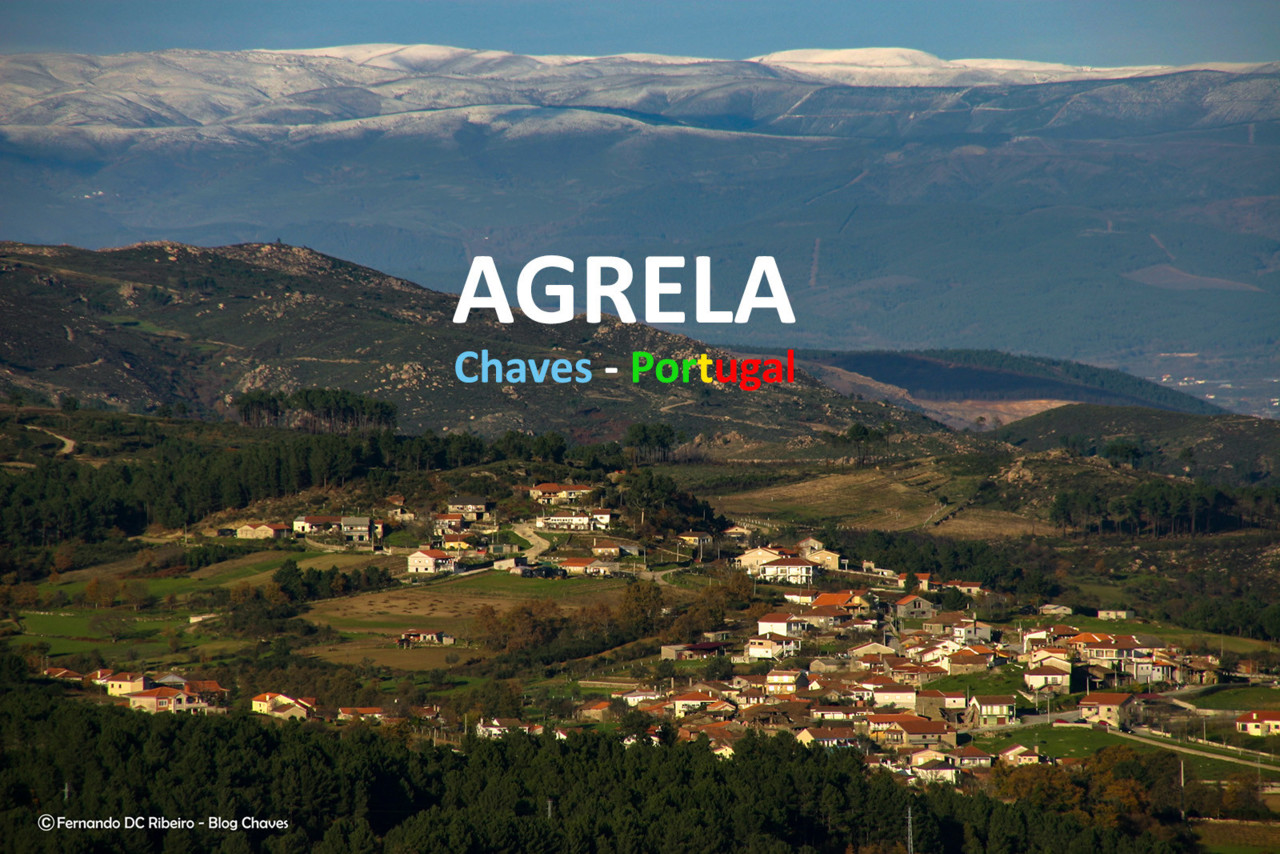 1600-video-agrela (30).jpg