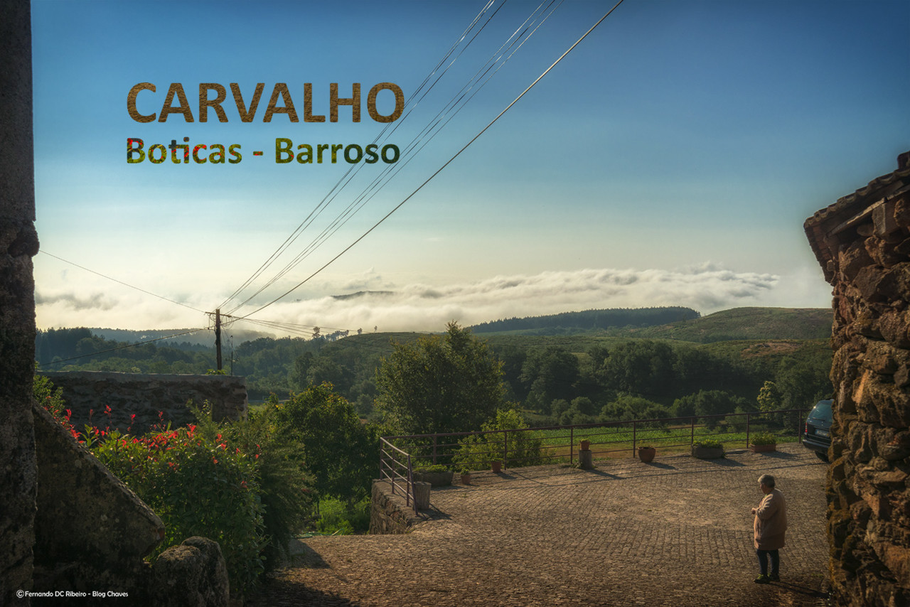 1600-carvalho (10) - 1.jpg 1600-carvalho (10) - 1.jpg