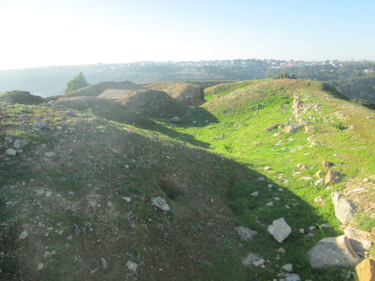 IMG_7253.JPG IMG_7253.JPG