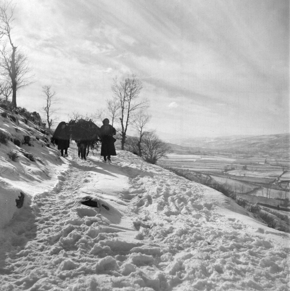 33-Barroso-artur pastor.jpg