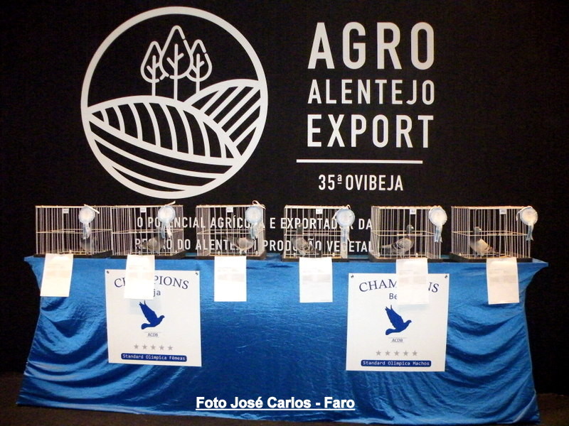 Feira Ibérica Beja 2018 058.JPG Feira Ibérica Beja 2018 058.JPG