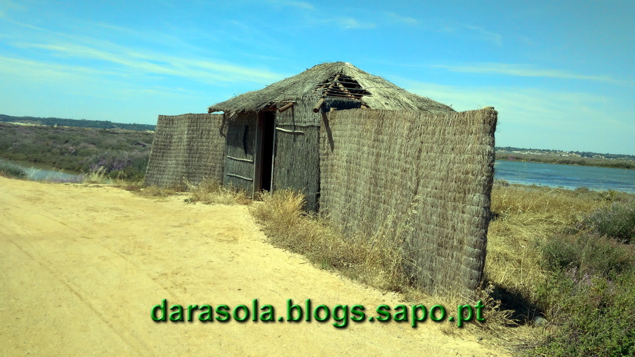 Maresmas_Isla_Canela_17.jpg Maresmas_Isla_Canela_17.jpg