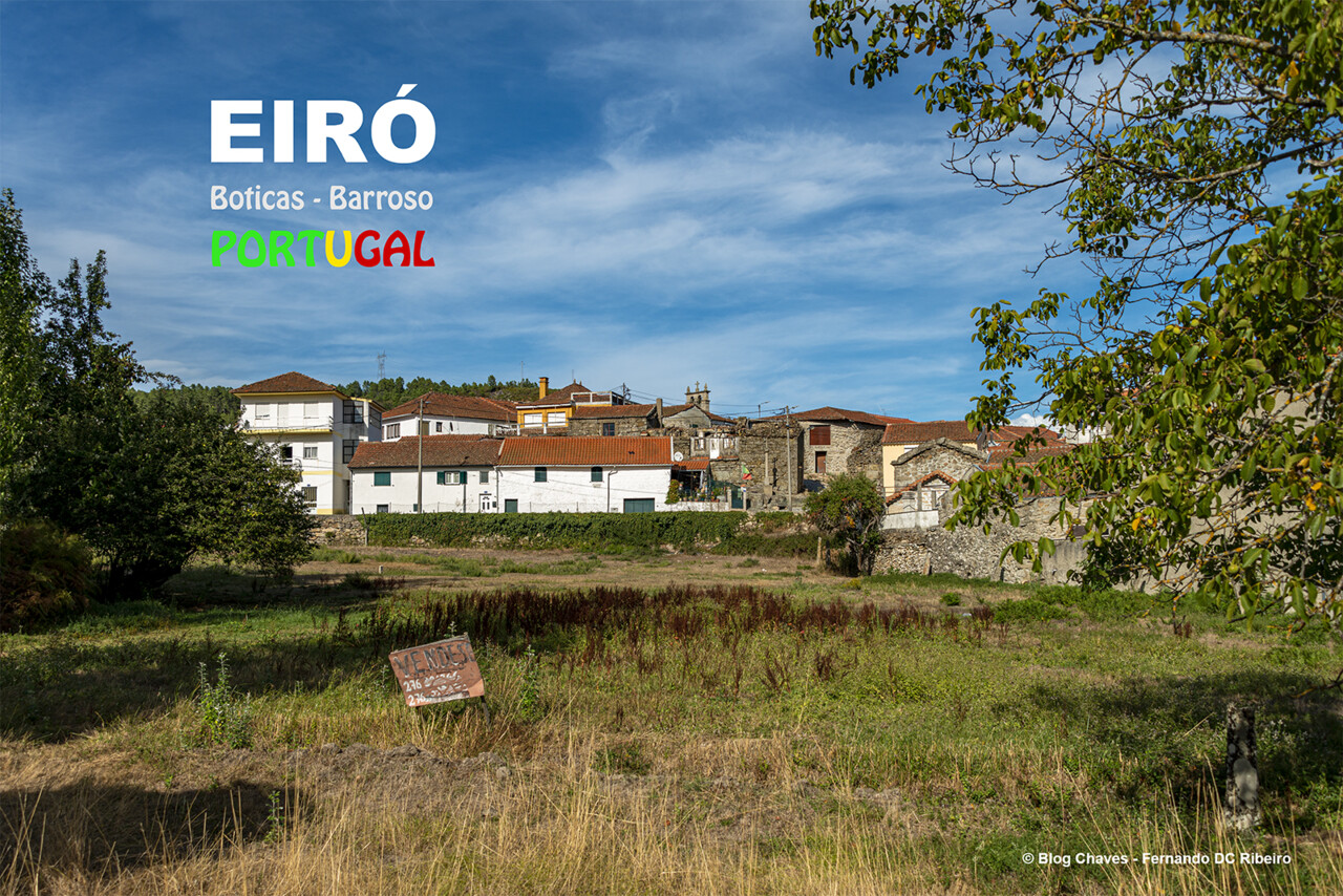 6-1600-eiro (20).jpg