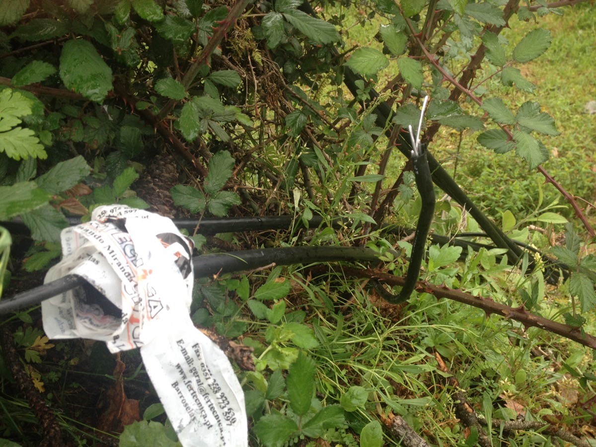 imgpsh_fullsize (2).jpg