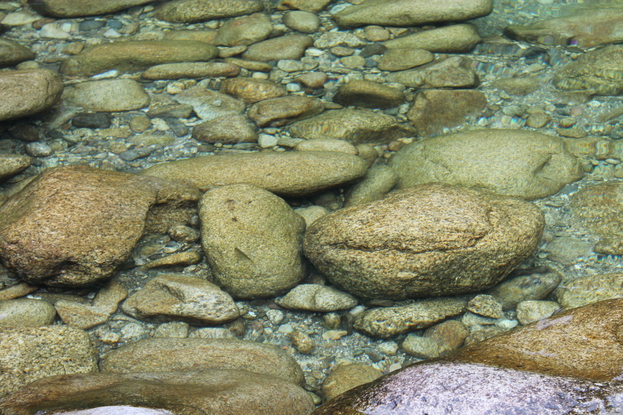 IMG_1409.JPG IMG_1409.JPG