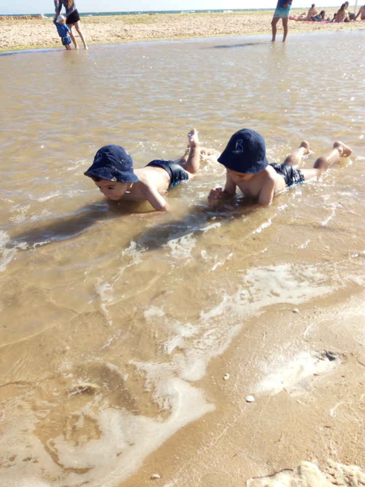 IMG_20180630_175540.jpg IMG_20180630_175540.jpg