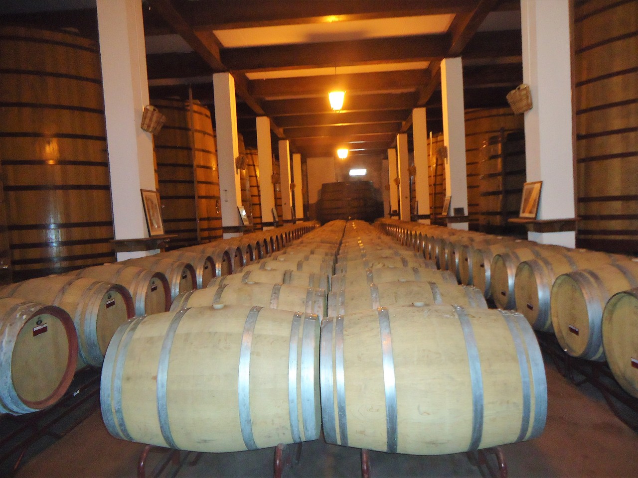 DSC07477.JPG DSC07477.JPG