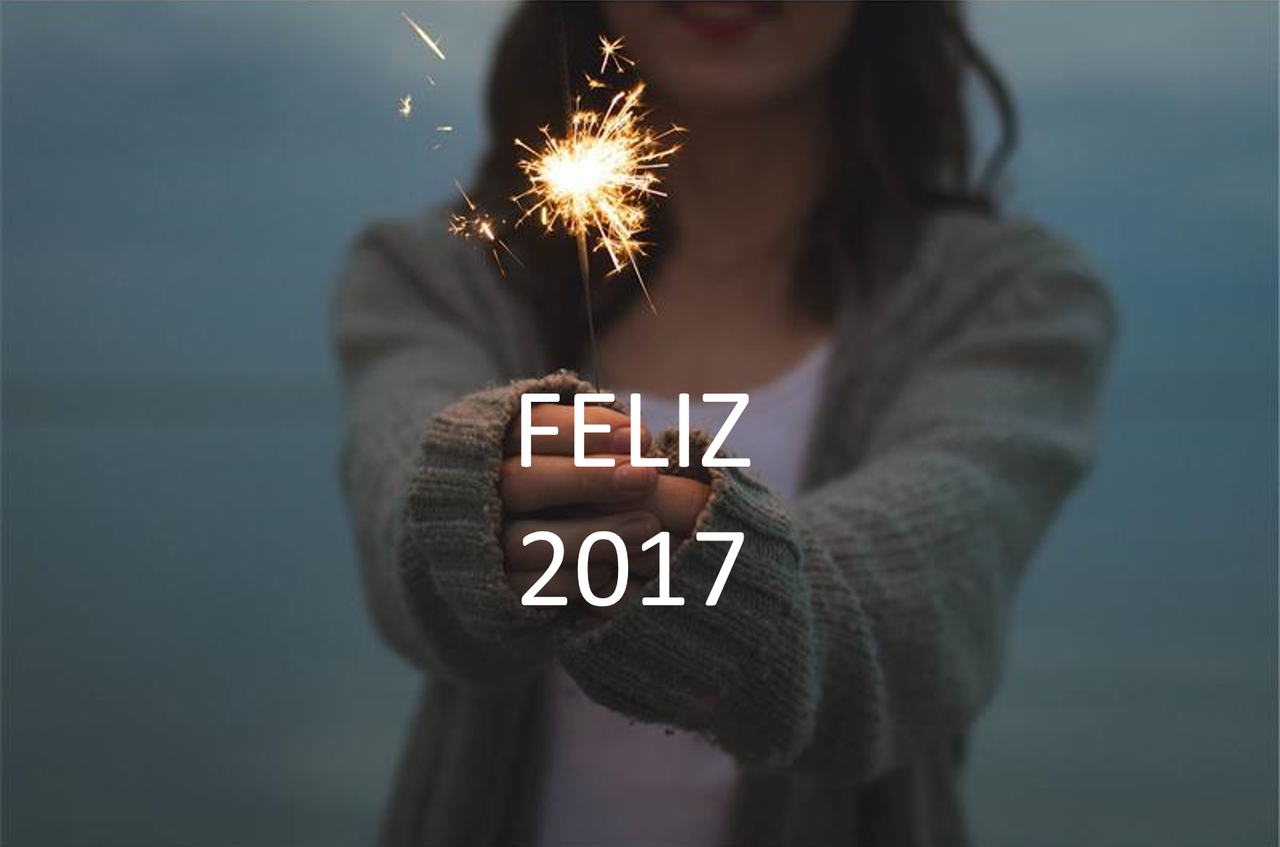fELIZ 2017.png