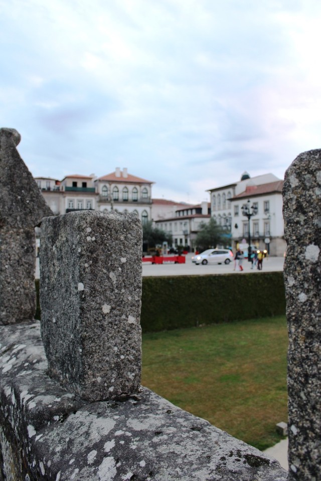 IMG_8233.JPG IMG_8233.JPG