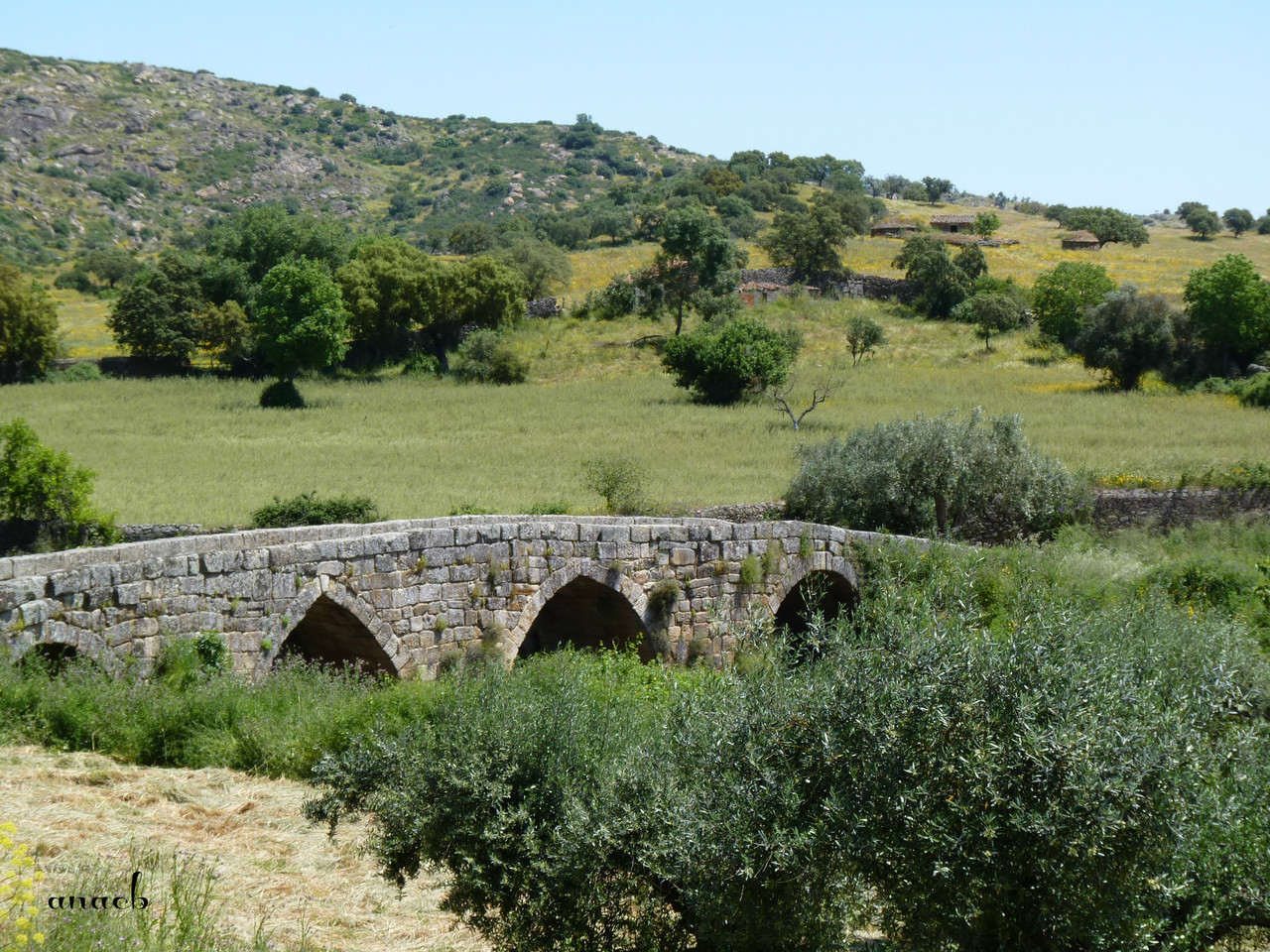 Idanha-a-Velha (117) Ponte romana.jpg