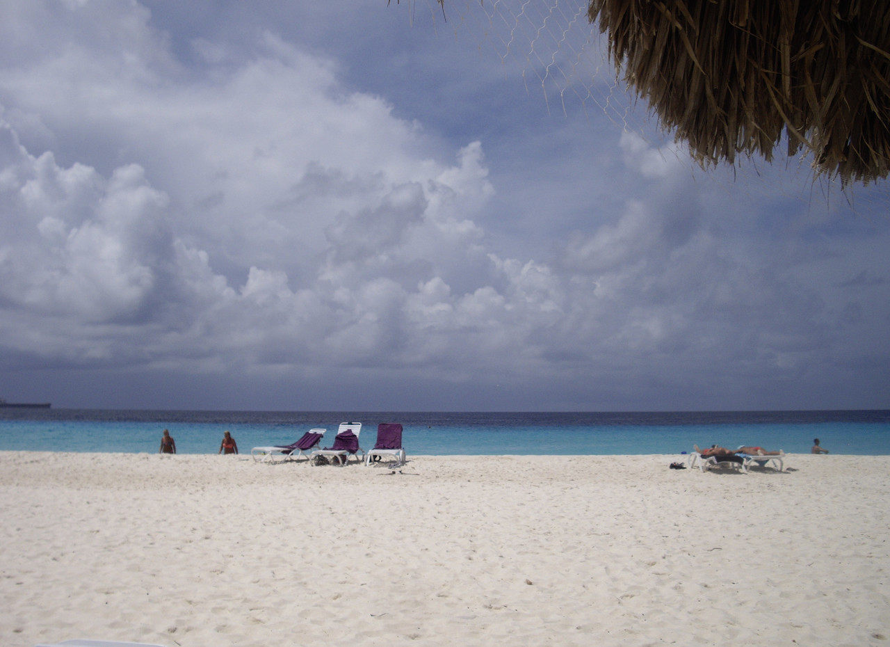 fullsizeoutput_153d.jpeg fullsizeoutput_153d.jpeg