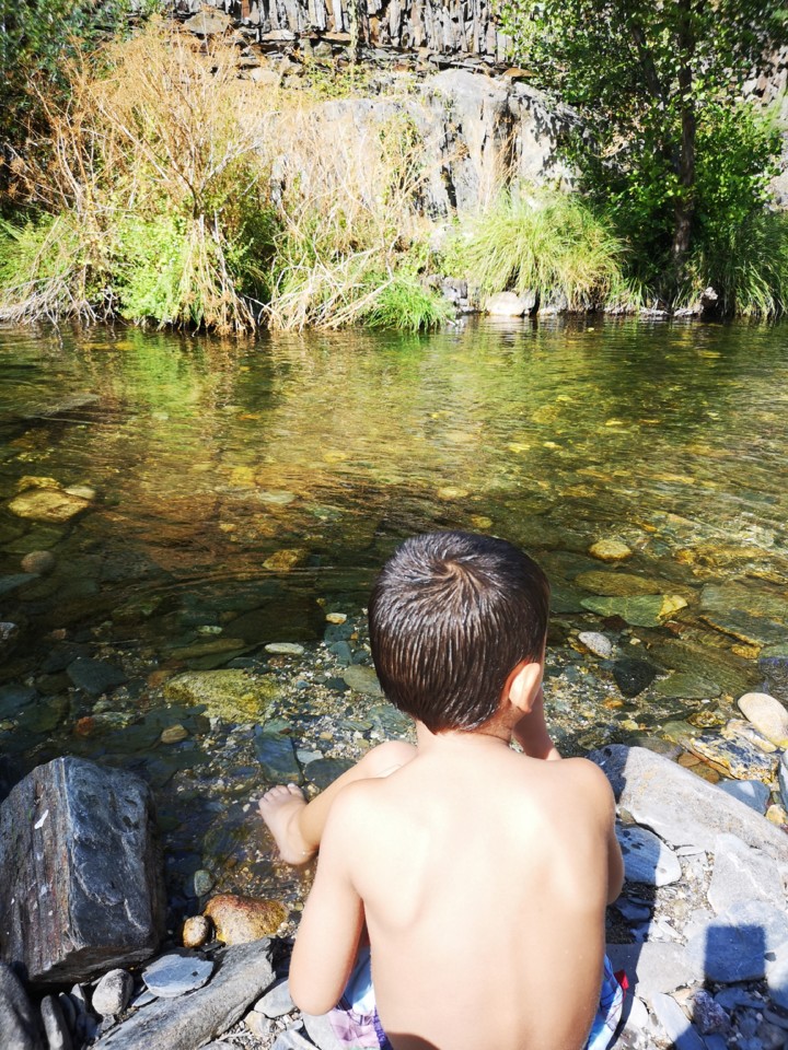 IMG_20200810_163923.jpg IMG_20200810_163923.jpg