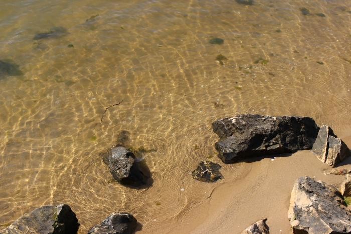 A testar a minha 35mm13....jpg