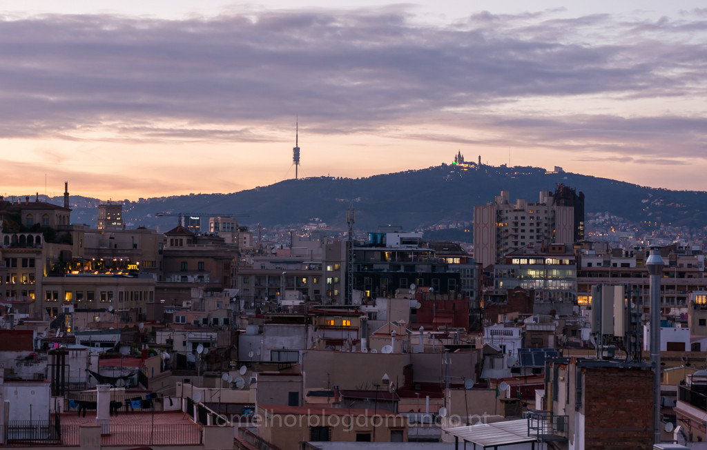 DSC03921.jpg DSC03921.jpg