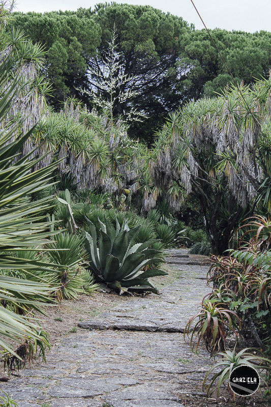 Tapada_da_Ajuda_Lisboa-001507.jpg Tapada_da_Ajuda_Lisboa-001507.jpg