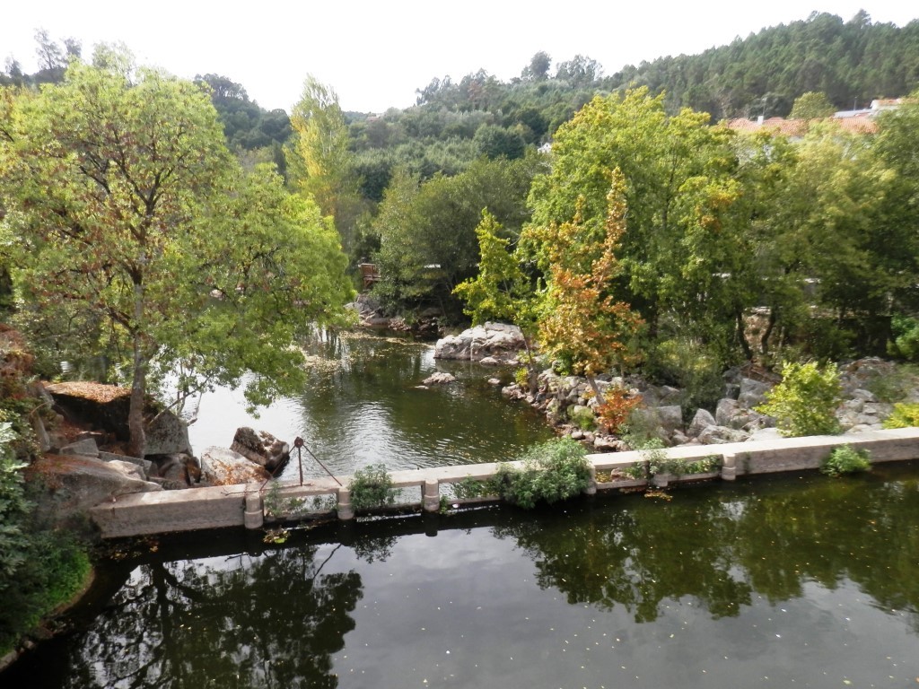 P9110213.JPG P9110213.JPG