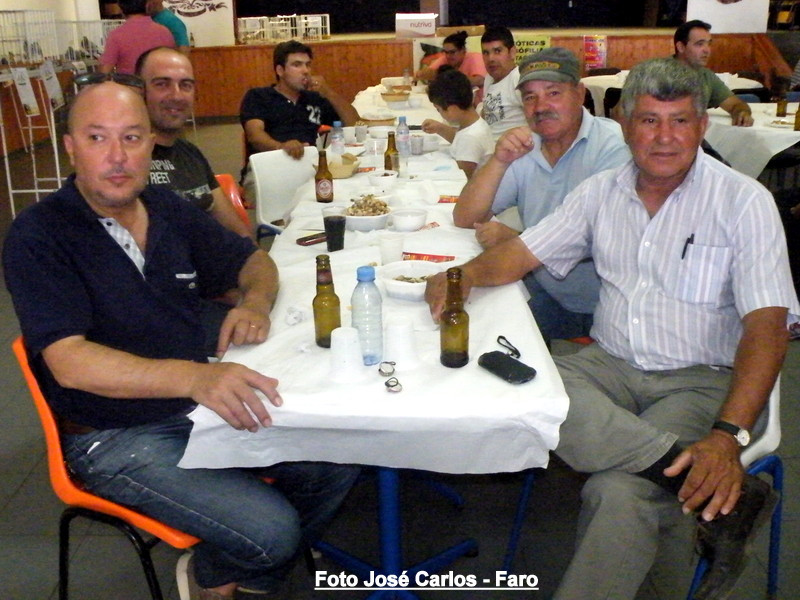 Leilão Ervidel 035.JPG